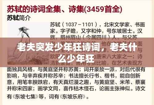 老夫突发少年狂诗词,老夫什么少年狂