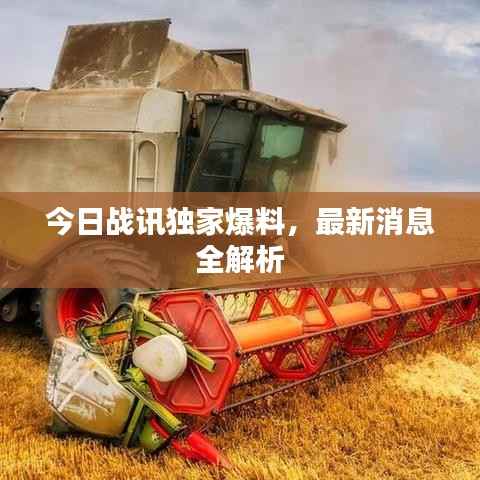 今日战讯独家爆料,最新消息全解析