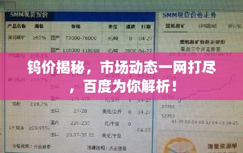 钨价揭秘,市场动态一网打尽,百度为你解析!