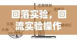 回落实验，回流实验操作视频 
