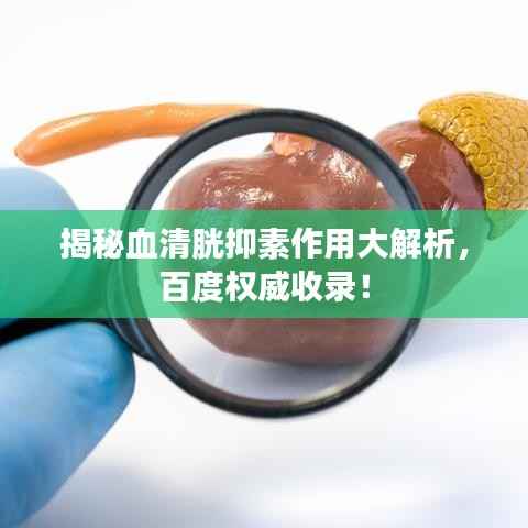 夸夸其谈