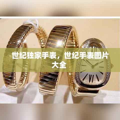 世纪独家手表,世纪手表图片大全