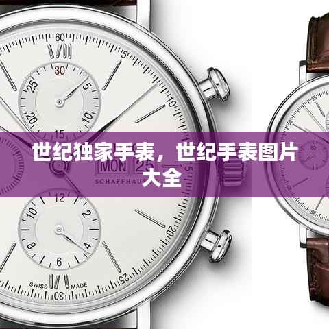 世纪独家手表,世纪手表图片大全