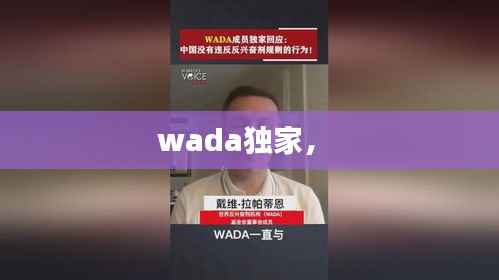 wada独家,
