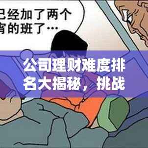 公司理财难度排名大揭秘,挑战与解析攻略!
