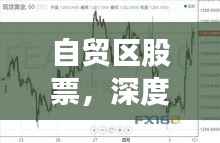 自贸区股票，深度探索与投资黄金机遇