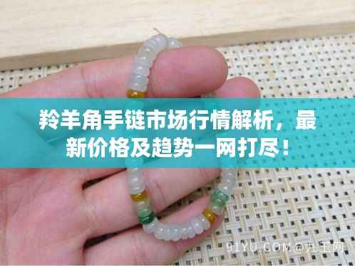 羚羊角手链市场行情解析，最新价格及趋势一网打尽！