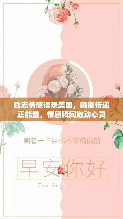 励志情感语录美图，嘟嘟传递正能量，情感瞬间触动心灵