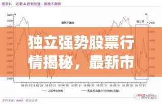 独立强势股票行情揭秘，最新市场动向深度解读