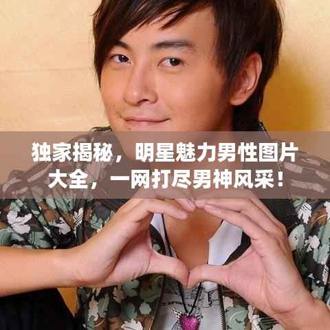 独家揭秘，明星魅力男性图片大全，一网打尽男神风采！