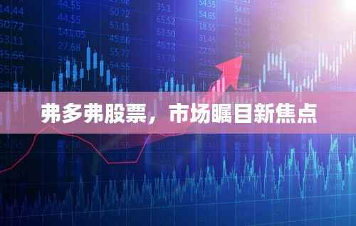 弗多弗股票，市场瞩目新焦点