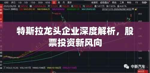 特斯拉龙头企业深度解析，股票投资新风向