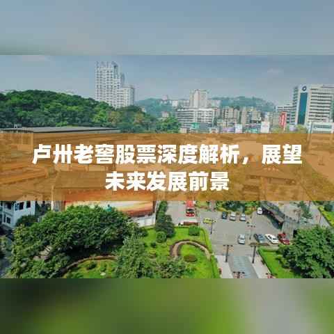 卢卅老窖股票深度解析，展望未来发展前景